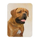 Zoek naar bordeaux magneten Dogue de bordeaux