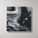 Recherche de arbre noir et blanc posters toiles Photographie