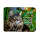 Recherche de albert magnete Pour tous