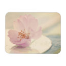 Recherche de sakura magnets Fleurs de cerisier
