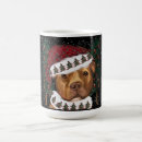 Recherche de american staffordshire tasses Terrier américain