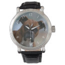Recherche de boxes montres Boxer