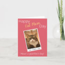Zoek naar katten moeder kaarten Grappig
