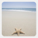 Recherche de scènes de plage autocollants Nature