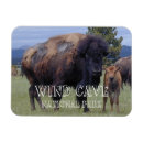 Recherche de cave magnets Parc national