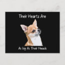 Recherche de tête animale cartes postales Mignon