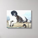 Zoek naar vintage dog kunst Dieren
