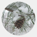 Recherche de pins neigeux autocollants Sapin