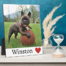 Zoek naar dierenvriend fotoplaat Hond
