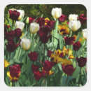 Zoek naar gele tulpen stickers Lente