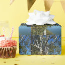 Zoek naar leuke koala cadeaupapier Leuk koala beer