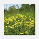 Recherche de fleur lotus magnets Plante