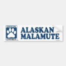 Recherche de malamutes voiture autocollants Race