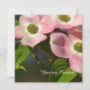 Recherche de dogwood invitations Fleurs