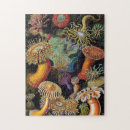 Zoek naar vintage kunst puzzels Haeckel