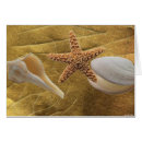 Zoek naar shells fotografie Goud