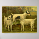 Recherche de vintage dog art posters Canine