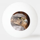 Recherche de oiseaux balles ping pong Faucon