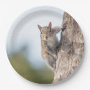 Recherche de écureuil assiettes en papier Animal