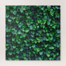 Recherche de lierre puzzles Feuille