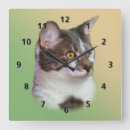 Recherche de chat noir et blanc horloges Animaux