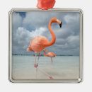 Recherche de flamants roses ornements Oiseau