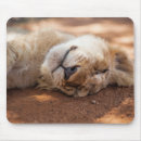 Recherche de lion mignon tapis souris Chat