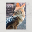 Recherche de dossier cartes postales Animal