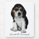 Recherche de chiot beagle tapis souris Chien