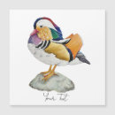 Recherche de canard de mandarine vœux cartes Oiseau