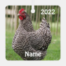 Recherche de poulet ornements Animal