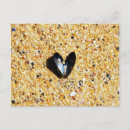 Recherche de plage romantique posters Coquille