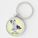 Recherche de chiot de border collie porteclés Colley
