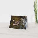 Recherche de oiseaux aquatiques vœux cartes Nature
