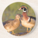 Zoek naar houten eend onderzetters Vogel