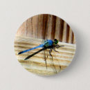 Recherche de libellules badges Animaux