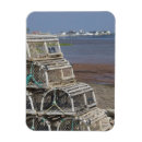 Recherche de homard magnets Océan