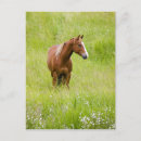 Recherche de terry cartes postales Frais