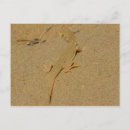 Recherche de mojave cartes postales Nature