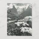 Zoek naar blanc briefkaarten Chamonix