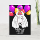 Recherche de anniversaire de caniche Animaux domestiques