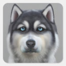 Recherche de alaskan malamute autocollants Animal