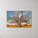 Zoek naar baobab kunst Boom