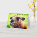 Recherche de humoristiques anniversaire cartes Mignon
