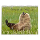 Recherche de ours calendriers Petits animaux