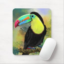 Recherche de toucan tapis souris Tropical