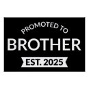 Recherche de grand frère posters Brother