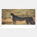 Zoek naar wilde katten stickers Afrika