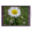 Recherche de ligne de flottaison Fleur sauvage