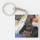 Recherche de cocon porteclés Perroquet